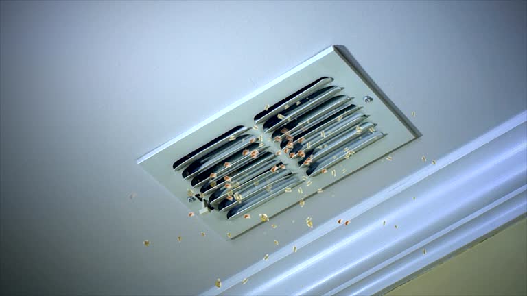 Best Affordable Air Duct Cleaning  in Clawson, MI